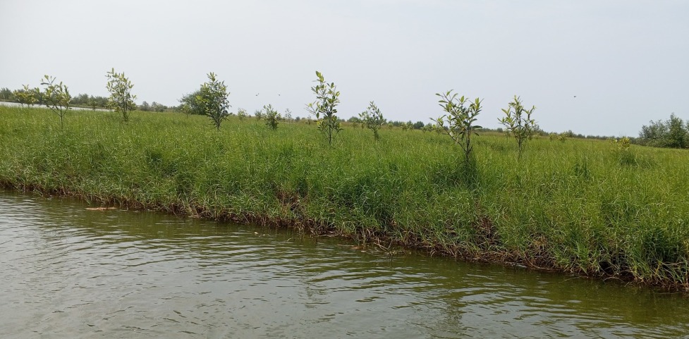 whatsapp image 2025 11 20 at 09.58.39 f3bde886