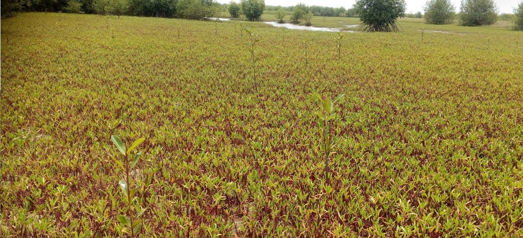 whatsapp image 2025 11 20 at 09.58.40 1a60cbc5