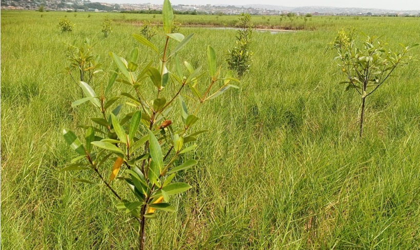 whatsapp image 2025 11 20 at 09.58.40 530e5d46