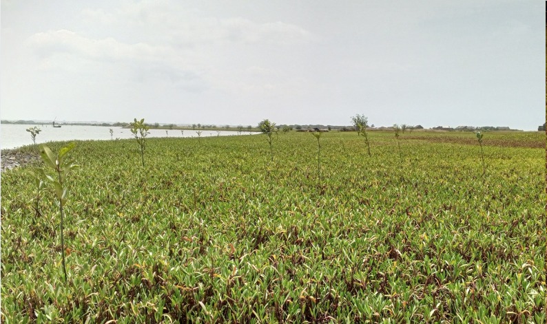 whatsapp image 2025 11 20 at 09.58.41 1b7bca3e