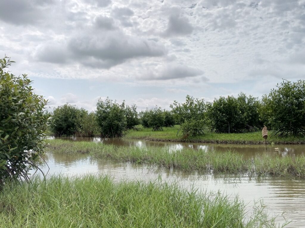 whatsapp image 2025 11 20 at 09.58.41 c8eaea75