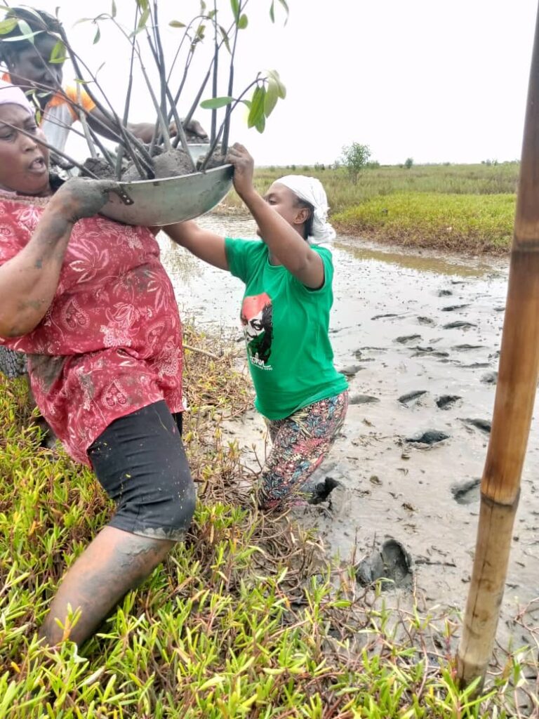 whatsapp image 2025 11 20 at 10.10.46 d7f1072c